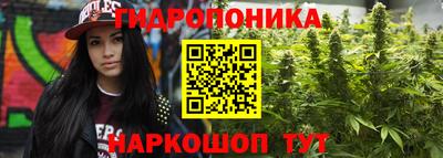 бошки Краснознаменск