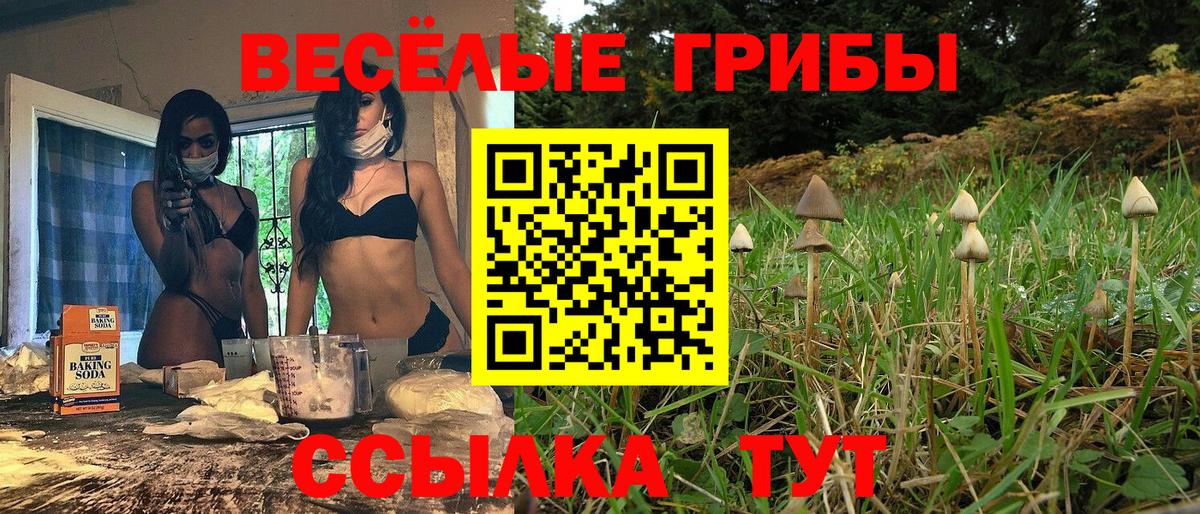 Галлюциногенные грибы мухоморы Донецк