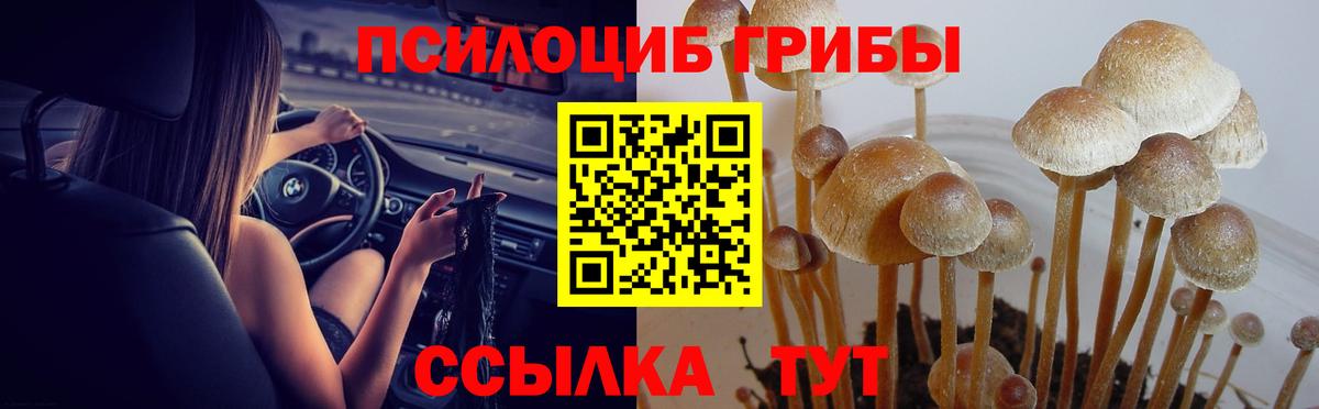 Галлюциногенные грибы Psilocybe  Вход с VPN  Псилоцибиновые грибы мухоморы  Донецк 